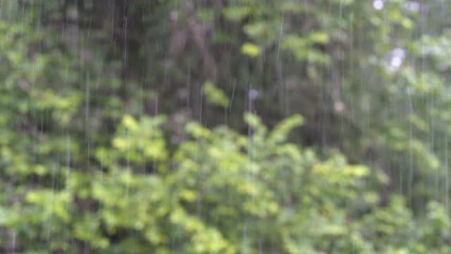 在爱沙尼亚，落在屋顶上的雨滴视频素材