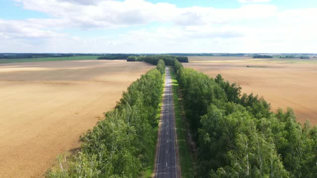 空中飞过空荡荡的郊区公路，穿过金色的农村麦田视频素材