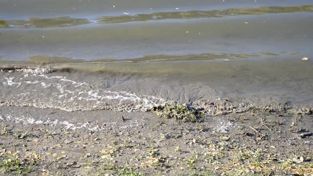 小波浪滚向泥泞的海岸视频素材