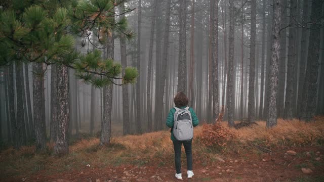 一位年轻女子站在小路上，看着针叶树，欣赏着风景视频素材