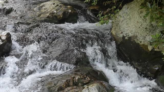 小溪流水-小河(点击查看)视频素材