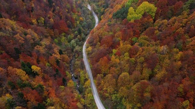 秋天的天线。在秋天，空中公路旅行在蜿蜒的山路上，汽车经过五颜六色的森林。视频素材