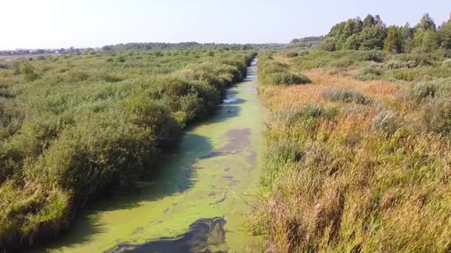 秋河视频素材