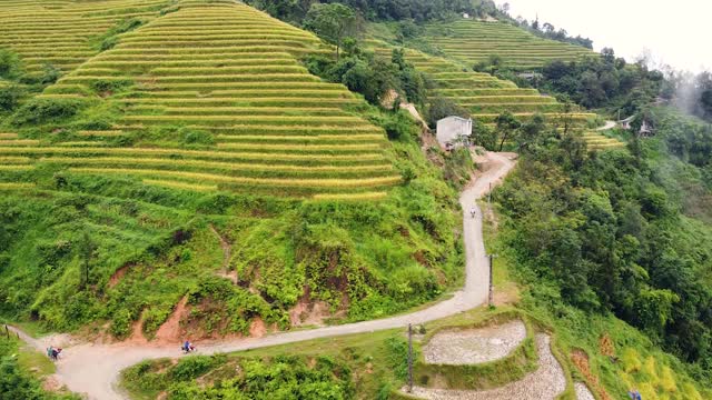 鸟瞰越南山区的小路和黄色的梯田。视频素材