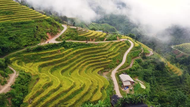 宏伟的黄色梯田在丘陵景观和蜿蜒的道路。视频素材