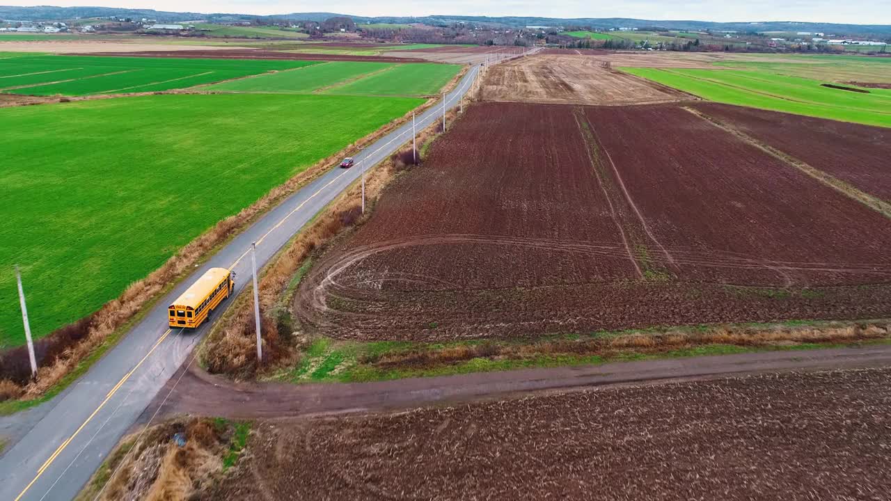 追逐校车(4k/50p)视频素材