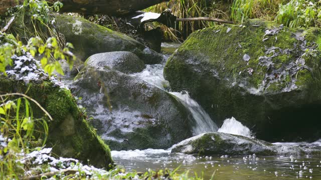 林中的小山涧视频素材