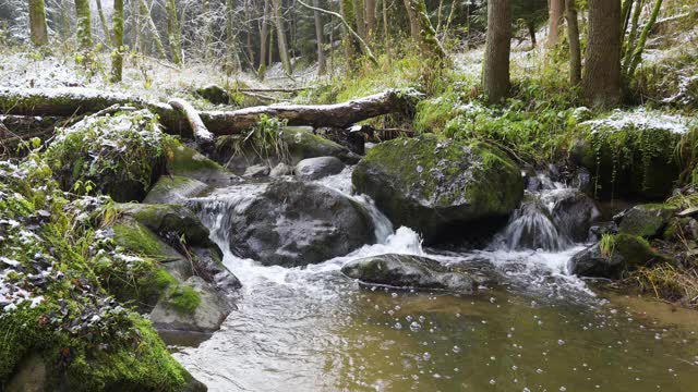 林中的小山涧视频素材