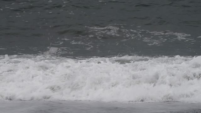 海滩上的暴风雨天视频素材