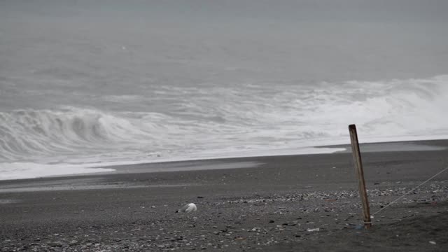 暴风雨天在海边视频素材