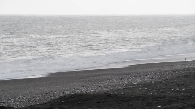 暴风雨天在海边视频素材