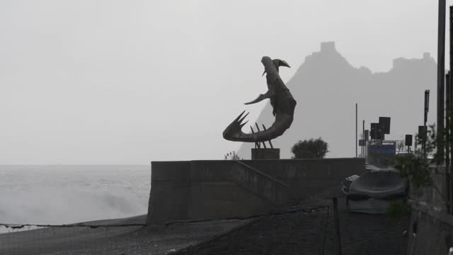 暴风雨天在海边视频素材