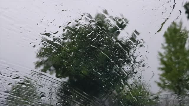 雨声打在树上的窗户上视频素材