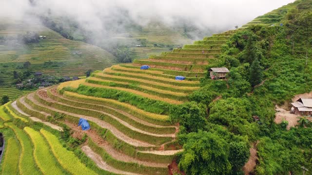 空中电影拍摄的梯田在山丘上的曲线模式与村庄。视频素材