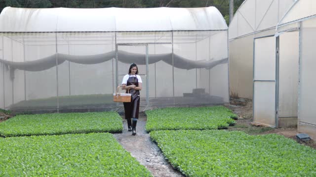 亚洲妇女在农田里搬运设备和行走视频素材