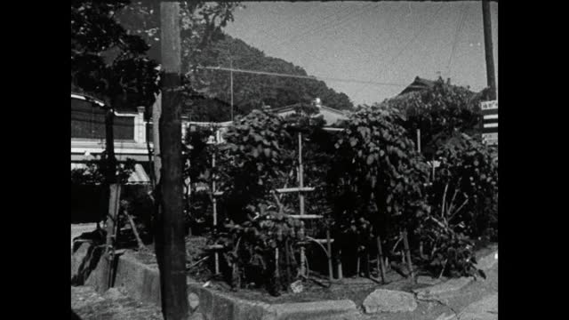 沿着日本乡村道路追踪过去的房屋;1964视频素材