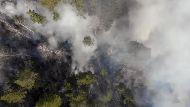 野火造成的空气污染，燃烧的田野上空的浓烟，航拍画面。视频素材