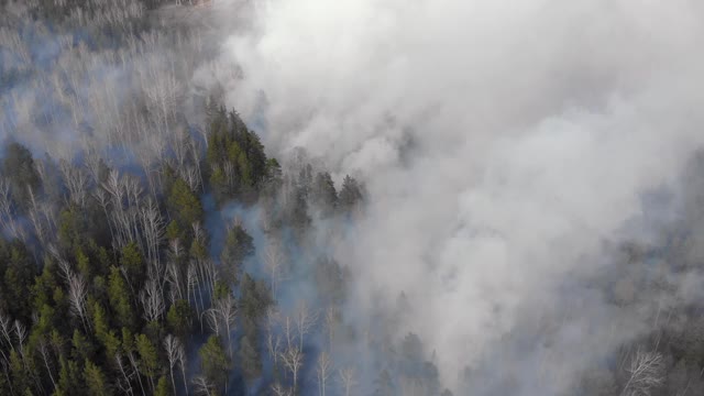 野火造成的空气污染，燃烧的田野上空的浓烟，航拍画面。视频素材