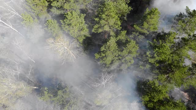 气候危机。高空鸟瞰森林大火视频素材