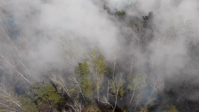 森林和野外火灾。森林火灾的顶视图视频素材