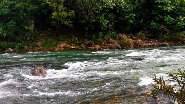 河水从大坝溢出来视频素材