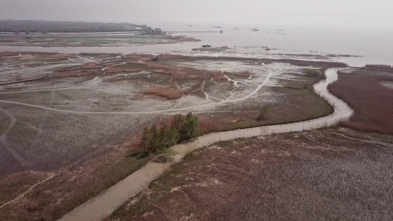 崇明岛湿地鸟瞰图视频素材