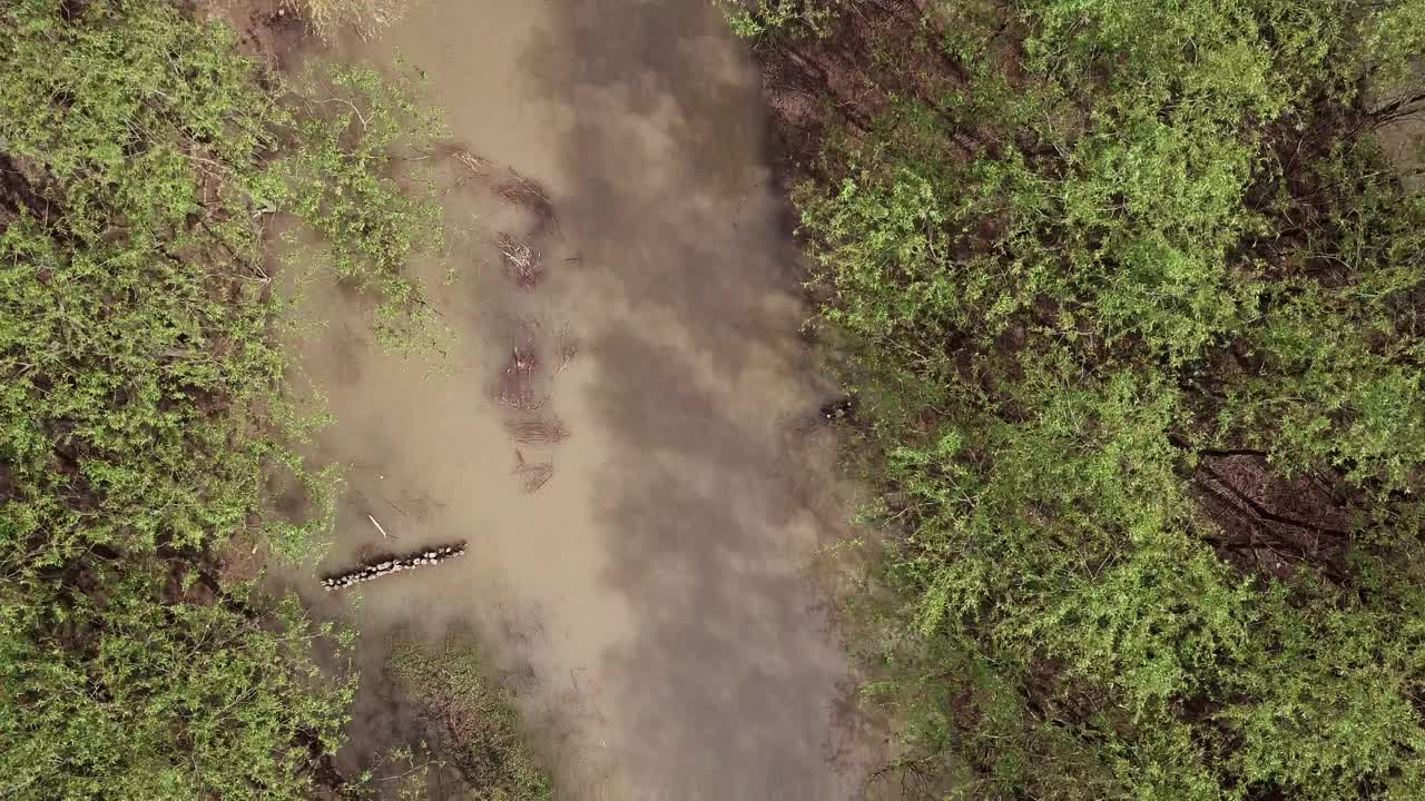 崇明岛湿地鸟瞰图视频素材