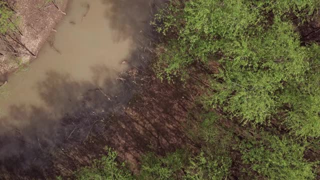 崇明岛湿地鸟瞰图视频素材