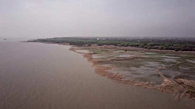 崇明岛湿地鸟瞰图视频素材