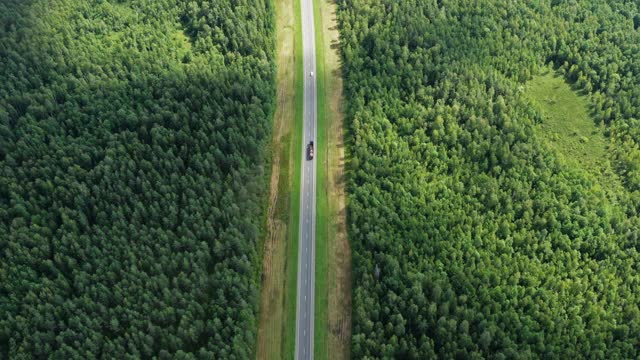 鸟瞰图的乡村道路在森林视频素材