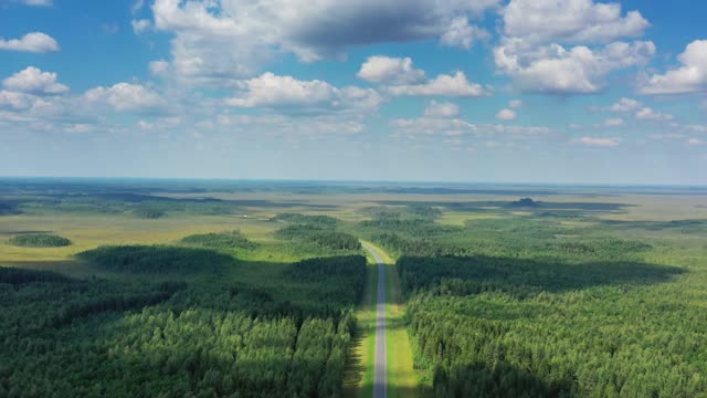 鸟瞰图的乡村道路在森林视频素材