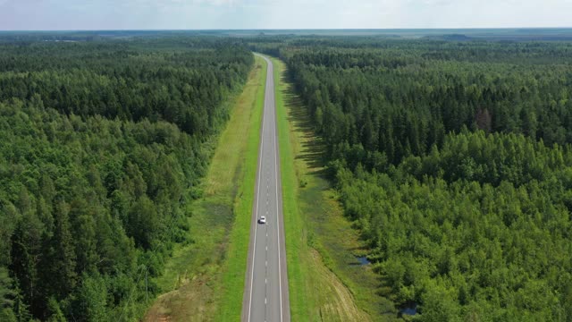 鸟瞰图的乡村道路在森林视频素材