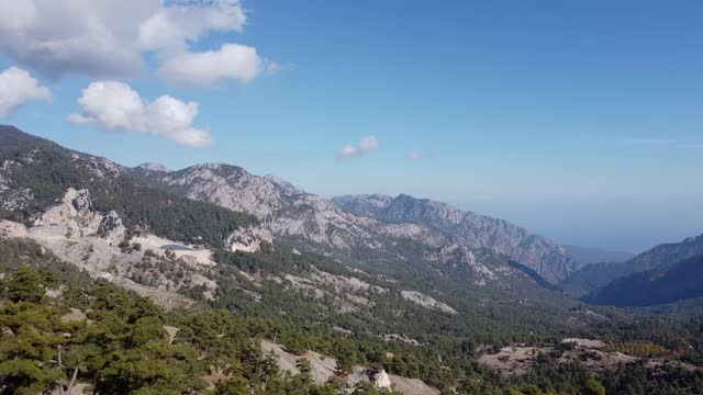 山势向前，雄蜂向上移动视频素材