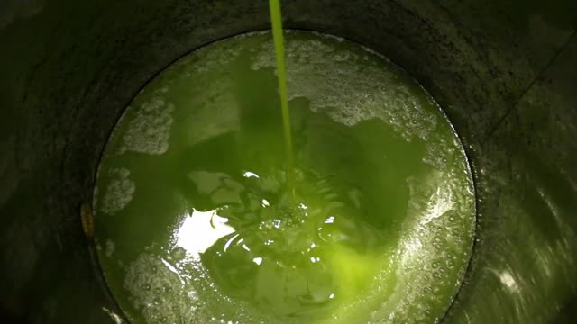 希腊橄榄油厂特级初榨橄榄油的提取工艺视频素材