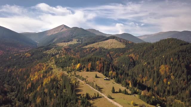 鸟瞰图的秋季山景观与常绿的松树和黄色的秋天森林与雄伟的山脉在远处。视频素材