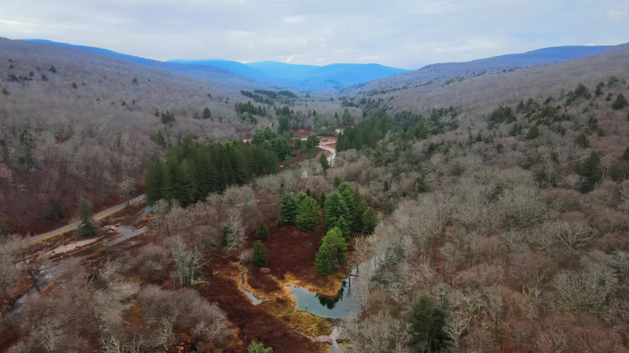 无人机拍摄的美丽的林地、溪流和山谷视频素材