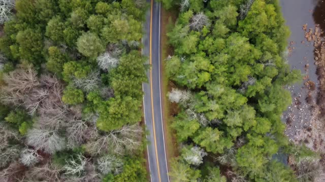 鸟瞰一条山路，光秃秃的树木，松树和一条小河视频素材