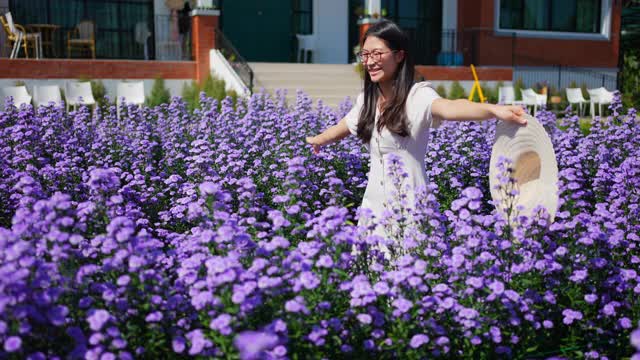 年轻的亚洲女人在春天走在紫罗兰玛格丽特小花地上。在花园里，女人用手抚摸着嫩绿的紫花。美丽的女孩在自然的概念。视频素材