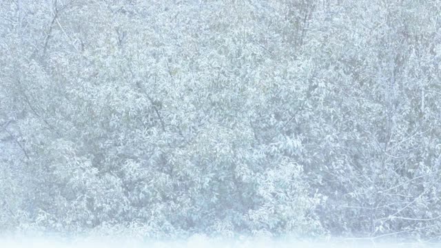 大雪。视频素材