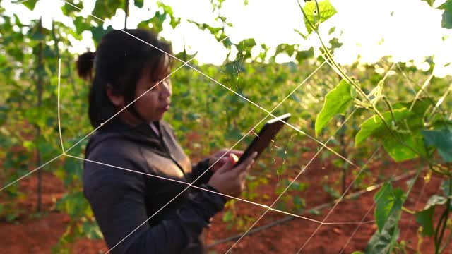 亚洲女性农民正在用平板电脑检验种植作物的成功视频素材