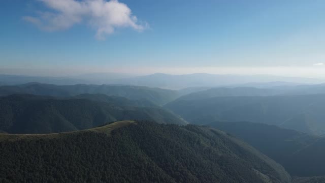 夏季有太阳耀斑的松林和山谷。欧洲户外绿色自然景观山野生空中建立。无人机飞行射击视频素材