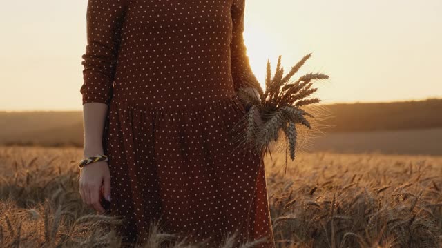 穿着衣服的女人带着一束金色的小麦走在田野里，在阳光明媚的日子里，她用手抚摸着小麦的小穗镜头，慢镜头拍摄着橙色的日落。女人放松在美丽的田野视频素材