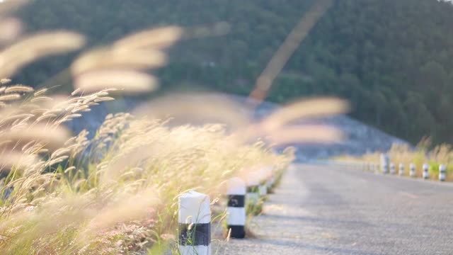 慢动作:女子在早晨结束锻炼后，通过跑步来放松视频素材