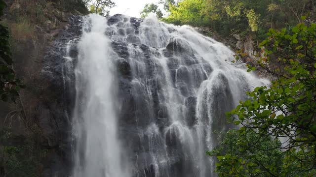 瀑布在热带雨林视频素材