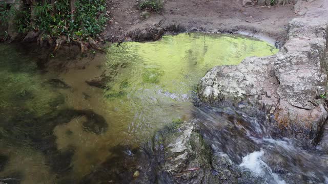 在雨林中流动的溪水视频素材