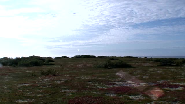 卡累利阿独特的自然景观，以蓝天白云为背景。视频素材