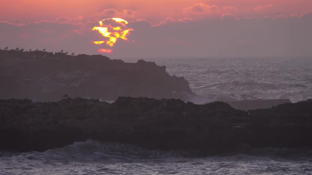 日落时分，海鸥飞过海面上的岩石视频素材