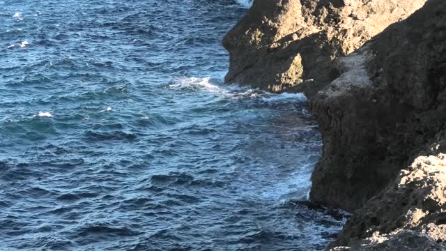 日本冲绳县有弥潭村赞帕角风景视频素材