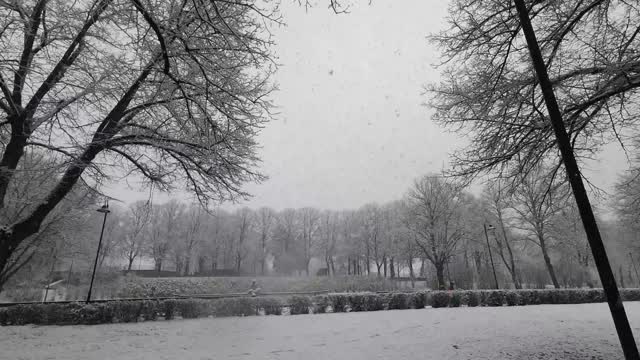 雪天全景，公园下雪，雪道，视频下载