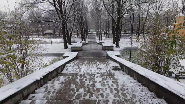 美丽的雪园景色，白雪覆盖的公园，镜头上了楼梯视频素材